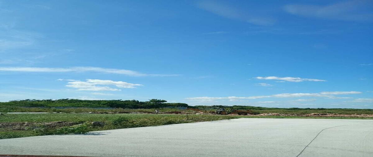 Foto de terreno habitacional en venta en  , cholul, mérida, yucatán, 26817720 No. 04