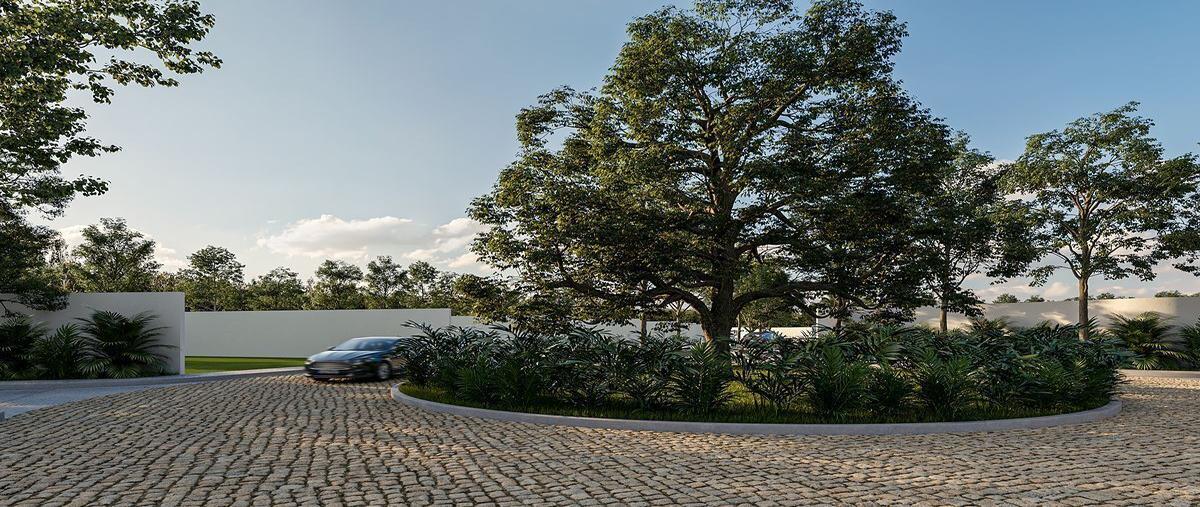 Foto de terreno habitacional en venta en  , cholul, mérida, yucatán, 26860077 No. 05