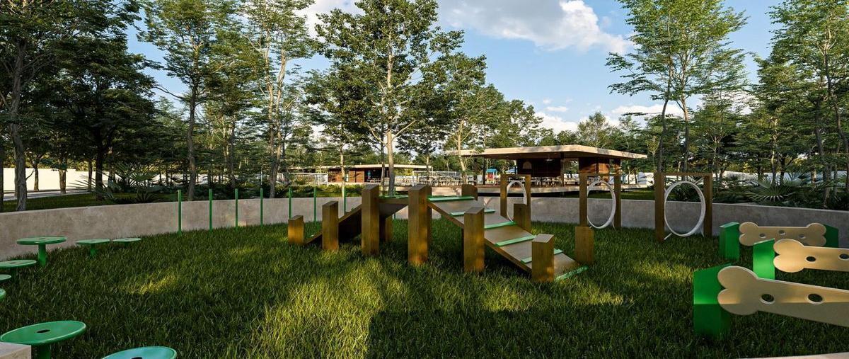 Foto de terreno habitacional en venta en  , cholul, mérida, yucatán, 26972326 No. 05