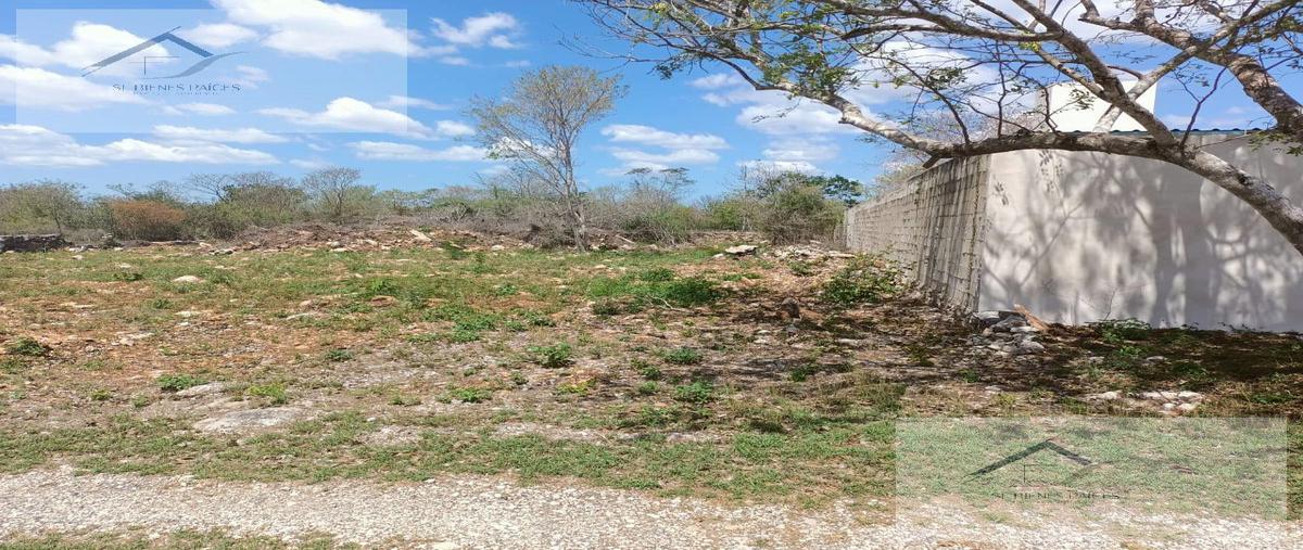 Foto de terreno habitacional en venta en  , cholul, mérida, yucatán, 27251868 No. 04