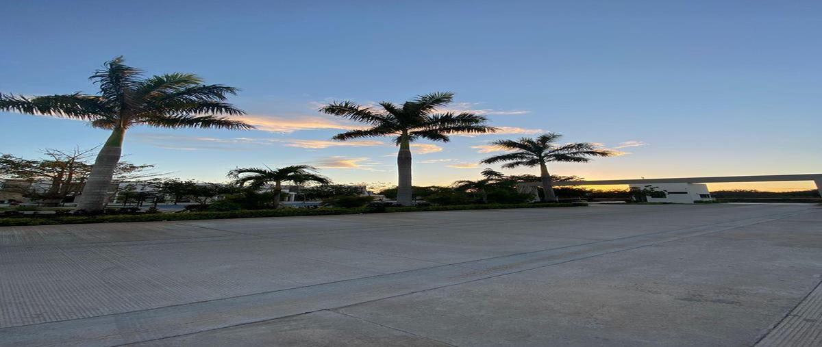 Foto de terreno habitacional en venta en  , cholul, mérida, yucatán, 27252526 No. 03