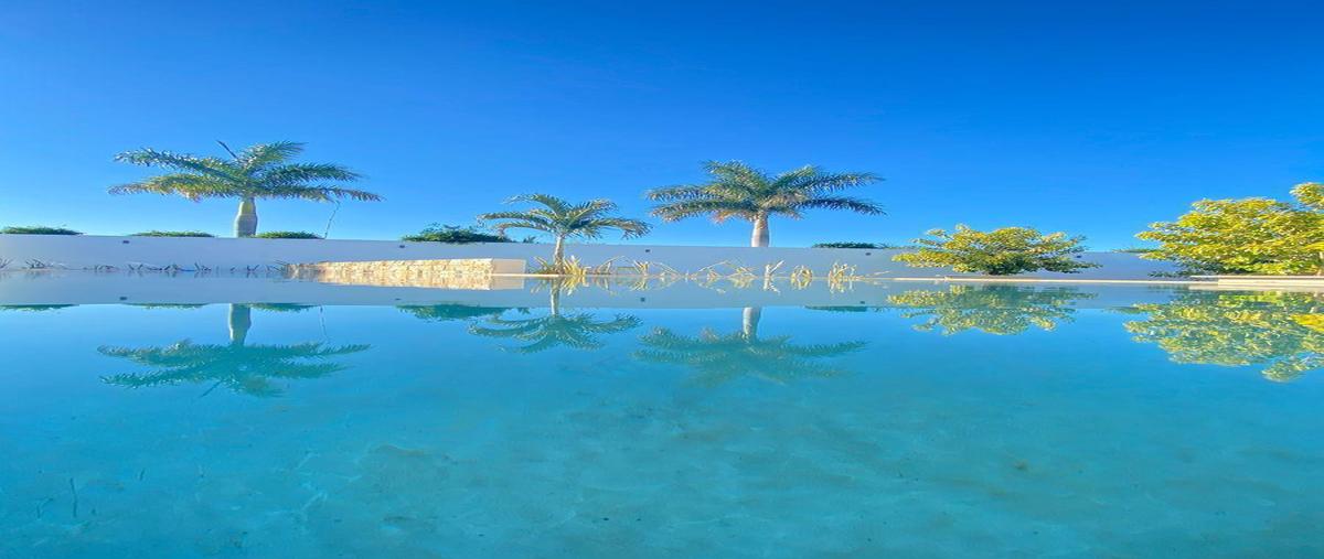 Foto de terreno habitacional en venta en  , cholul, mérida, yucatán, 27252526 No. 04