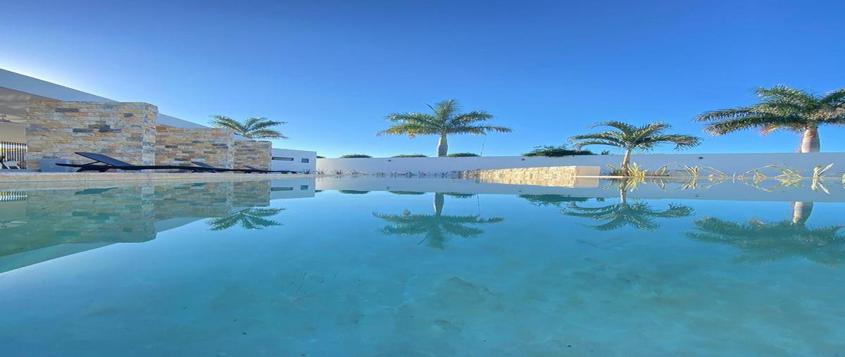 Foto de terreno habitacional en venta en  , cholul, mérida, yucatán, 27252526 No. 05