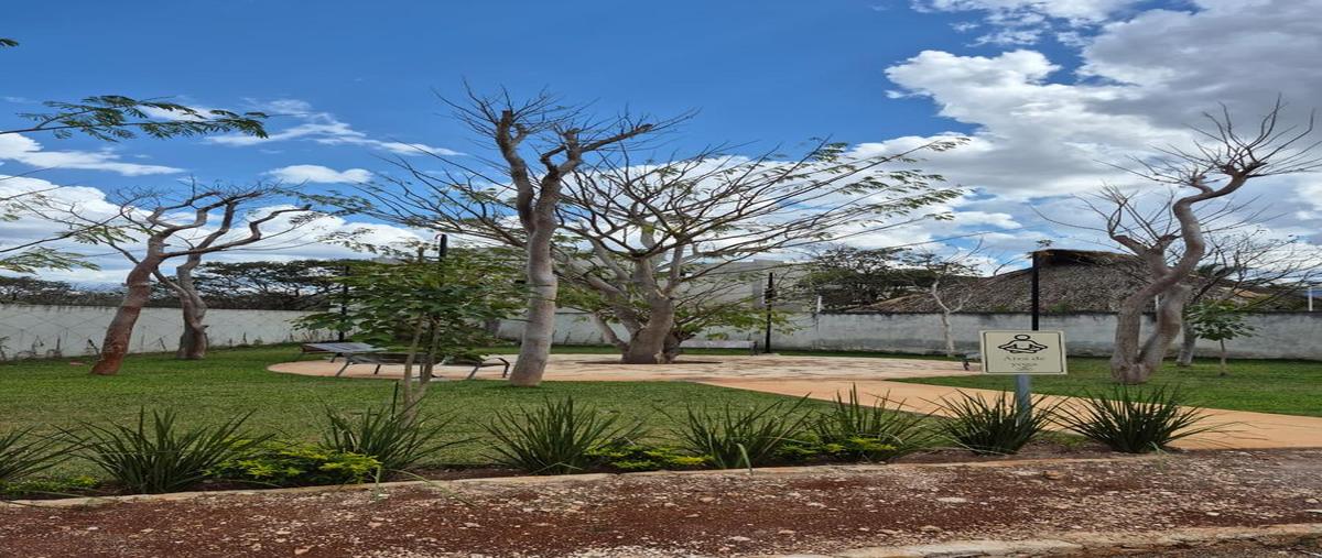 Foto de terreno habitacional en , cholul, mérida, yucatán, 27252530 foto 03 Foto de terreno habitacional en venta en , cholul, mérida, yucatán, 27252530 No. 03