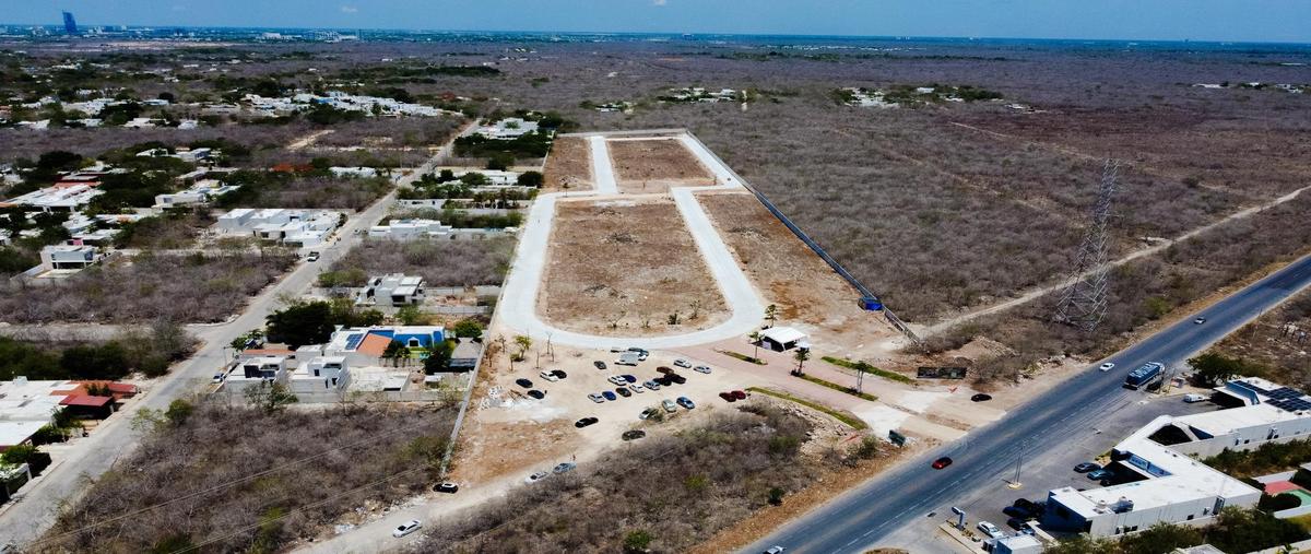 Foto de terreno habitacional en venta en  , cholul, mérida, yucatán, 27252530 No. 04