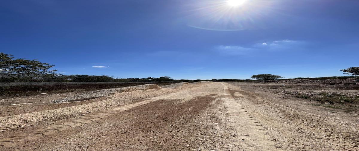 Foto de terreno habitacional en venta en  , cholul, mérida, yucatán, 27252540 No. 04