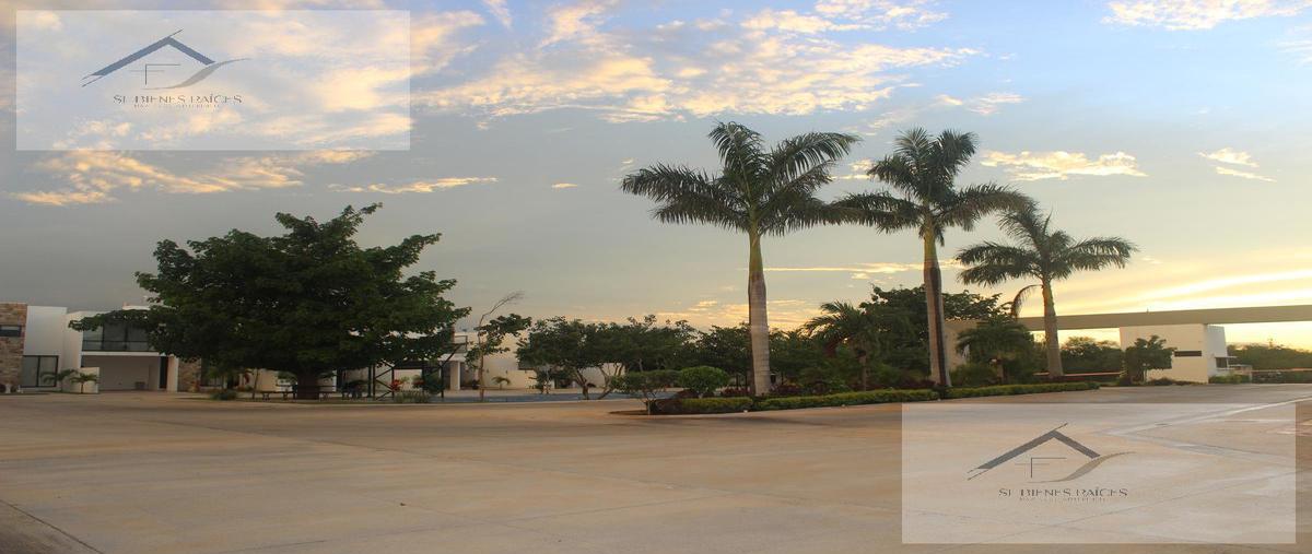 Foto de casa en venta en  , cholul, mérida, yucatán, 0 No. 03