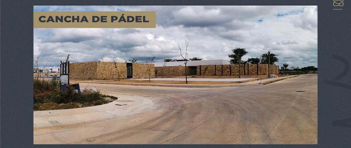 Foto de terreno habitacional en venta en  , cholul, mérida, yucatán, 27314544 No. 03