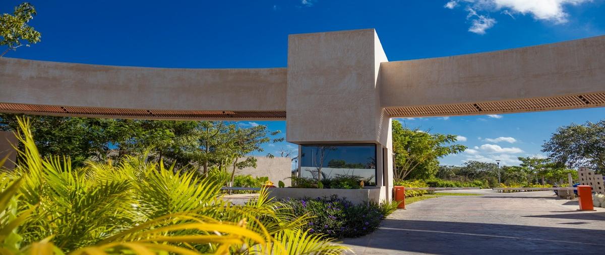 Foto de terreno habitacional en venta en  , cholul, mérida, yucatán, 27400739 No. 03