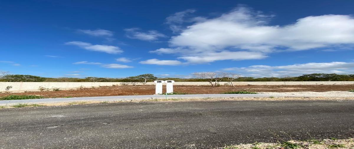 Foto de terreno habitacional en venta en  , cholul, mérida, yucatán, 0 No. 03