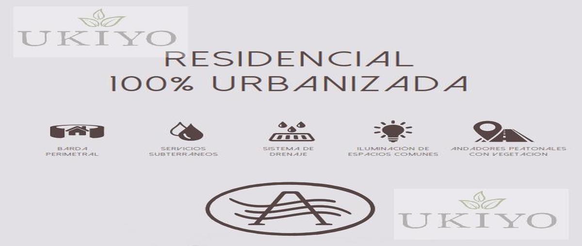 Foto de terreno habitacional en venta en  , cholul, mérida, yucatán, 27558629 No. 03