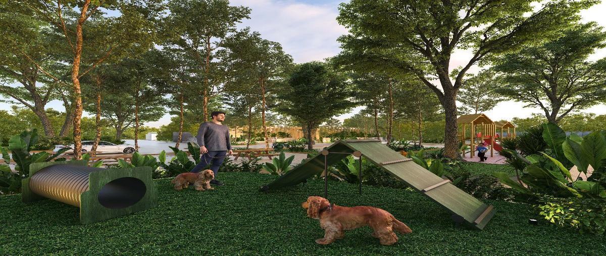 Foto de terreno habitacional en - , cholul, mérida, yucatán, 27755364 foto 05 Foto de terreno habitacional en venta en - , cholul, mérida, yucatán, 27755364 No. 05