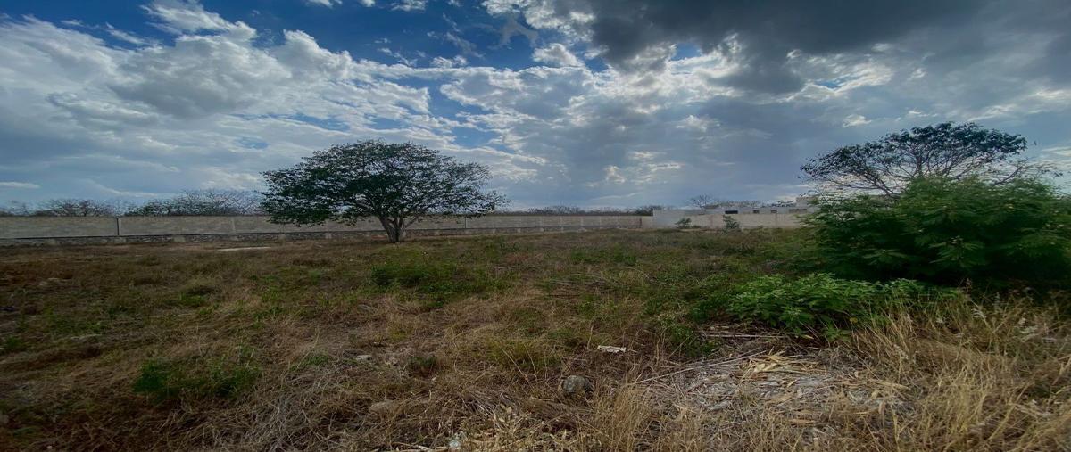 Foto de terreno habitacional en venta en  , cholul, mérida, yucatán, 27807018 No. 04