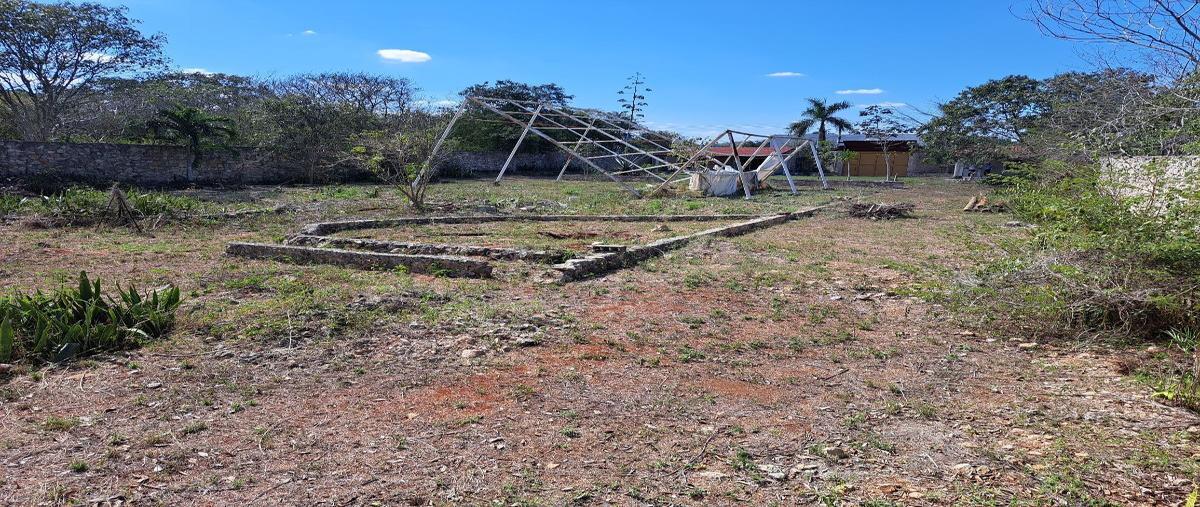 Foto de terreno habitacional en , cholul, mérida, yucatán, 27893035 foto 05 Foto de terreno habitacional en venta en , cholul, mérida, yucatán, 27893035 No. 05