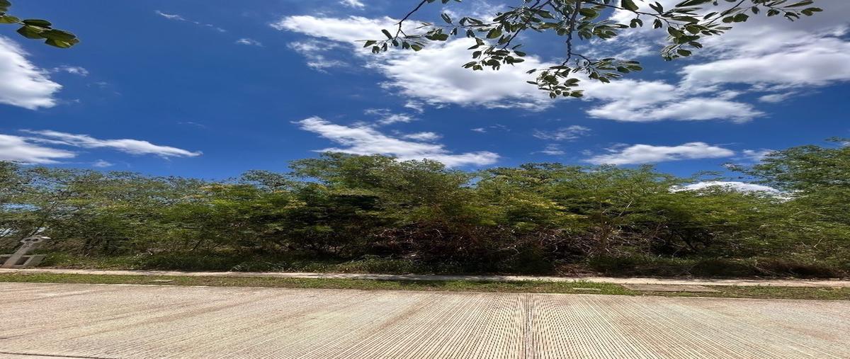 Foto de terreno habitacional en venta en  , cholul, mérida, yucatán, 27974008 No. 03