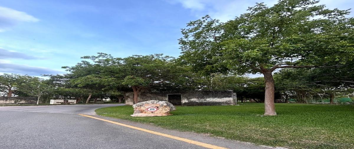 Foto de terreno habitacional en venta en  , cholul, mérida, yucatán, 27974008 No. 04