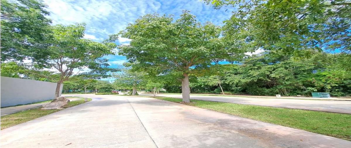 Foto de terreno habitacional en venta en  , cholul, mérida, yucatán, 0 No. 03
