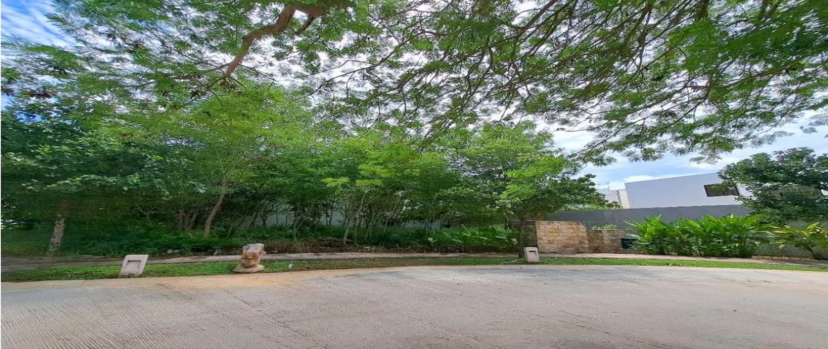 Foto de terreno habitacional en venta en  , cholul, mérida, yucatán, 0 No. 05