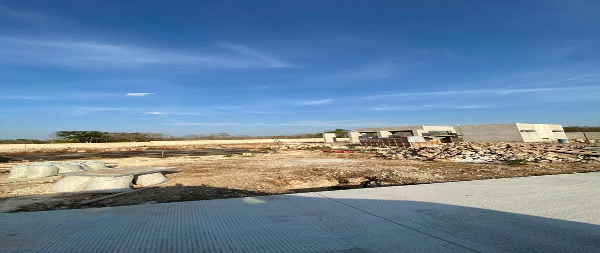 Foto de terreno habitacional en venta en  , cholul, mérida, yucatán, 28015314 No. 05