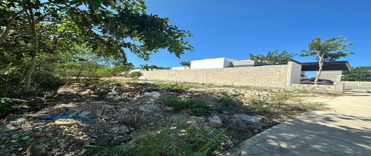 Foto de terreno habitacional en venta en  , cholul, mérida, yucatán, 0 No. 03