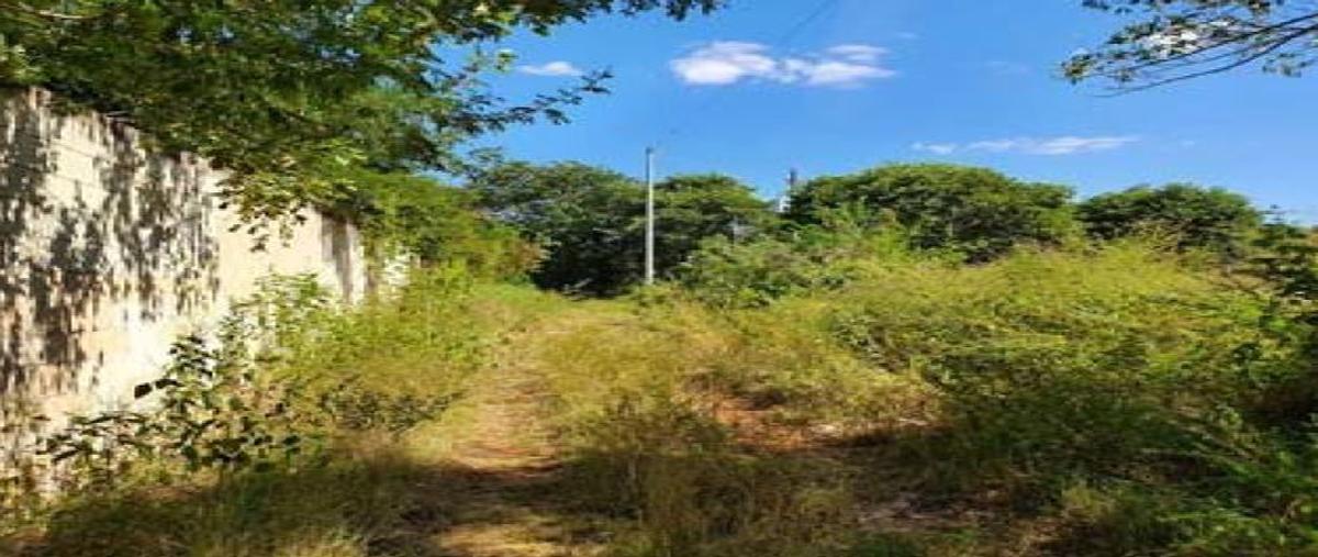 Foto de terreno habitacional en venta en  , cholul, mérida, yucatán, 28195138 No. 03