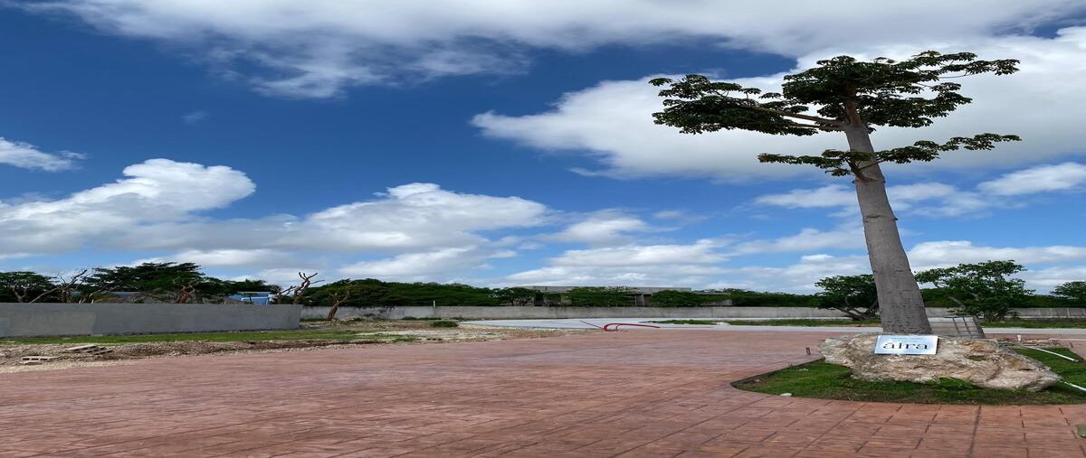 Foto de terreno habitacional en venta en  , cholul, mérida, yucatán, 28294044 No. 03
