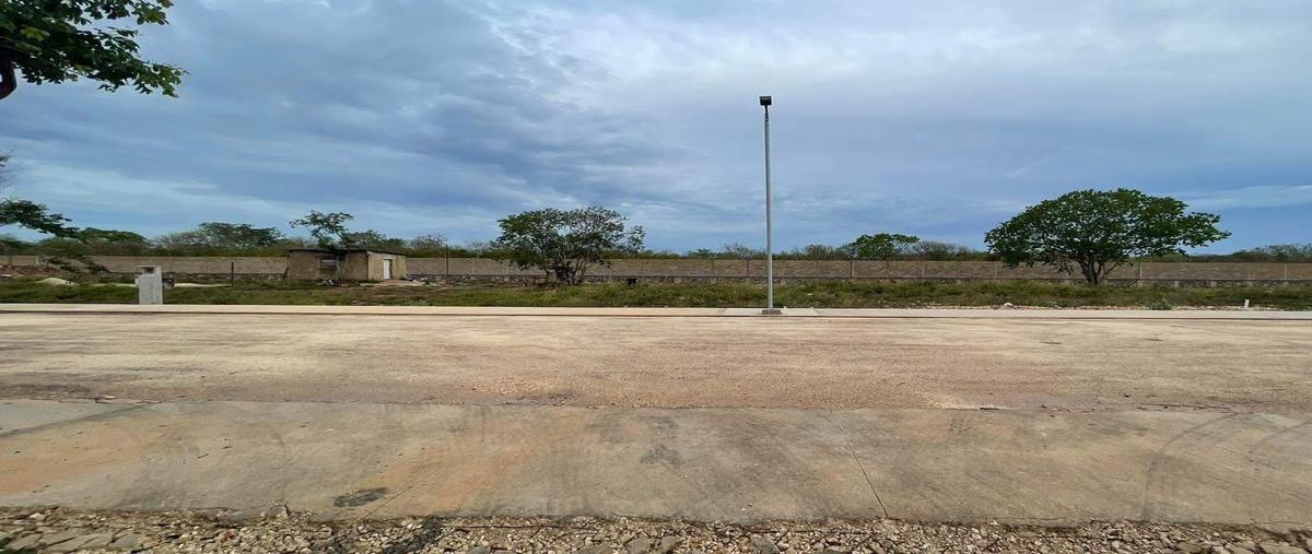 Foto de terreno habitacional en venta en  , cholul, mérida, yucatán, 0 No. 03