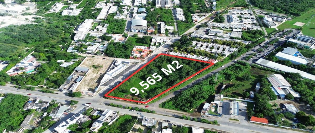 Foto de terreno habitacional en venta en  , cholul, mérida, yucatán, 28827961 No. 05