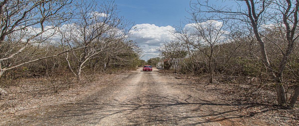 Foto de terreno habitacional en venta en  , cholul, mérida, yucatán, 0 No. 05