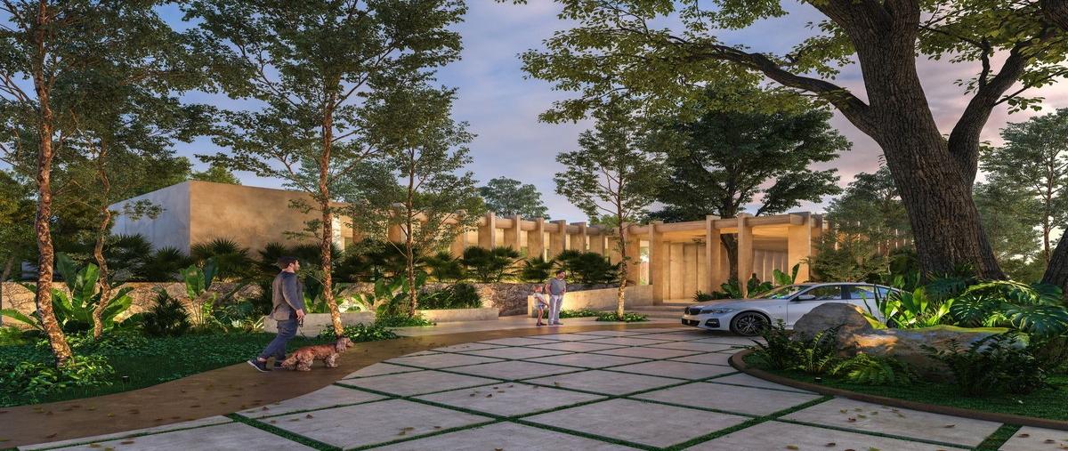 Foto de terreno habitacional en venta en  , cholul, mérida, yucatán, 0 No. 03