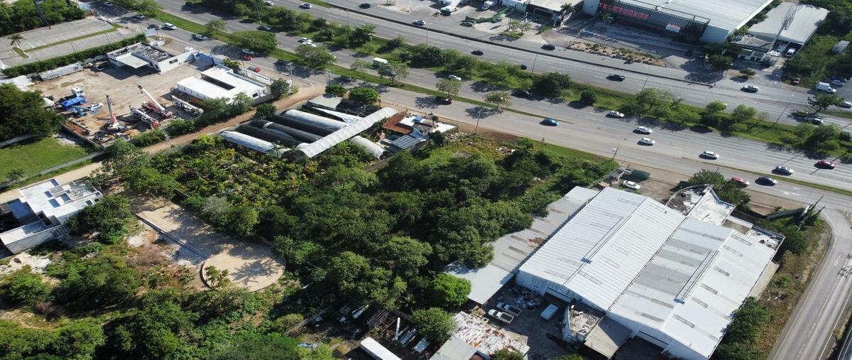 Foto de terreno comercial en renta en  , cholul, mérida, yucatán, 29081398 No. 04