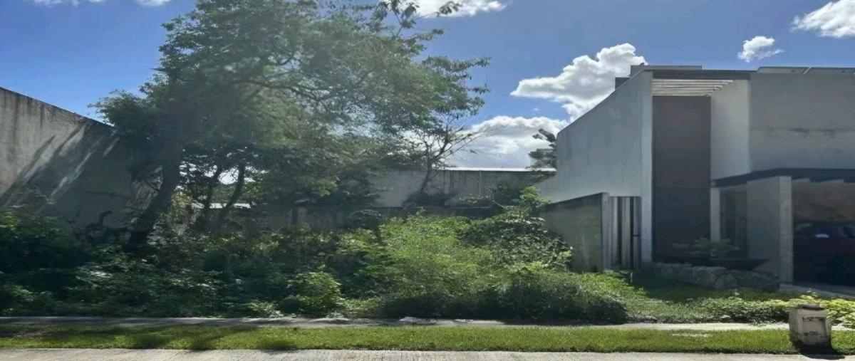Foto de terreno habitacional en venta en  , cholul, mérida, yucatán, 0 No. 03