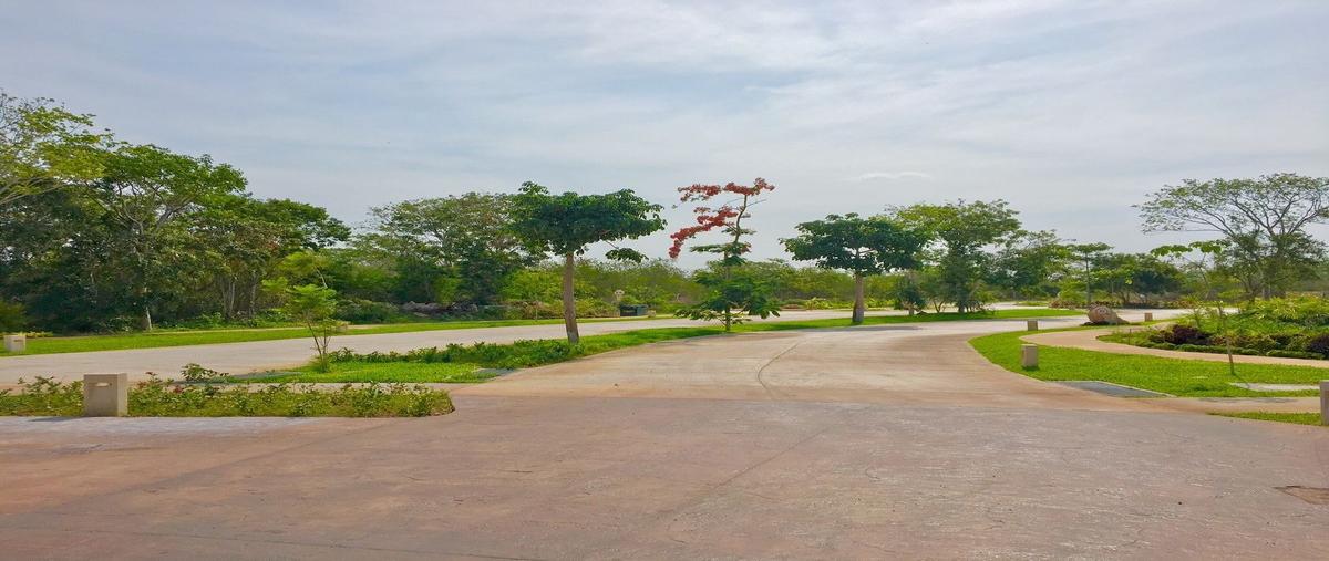 Foto de terreno habitacional en venta en  , cholul, mérida, yucatán, 29535815 No. 03