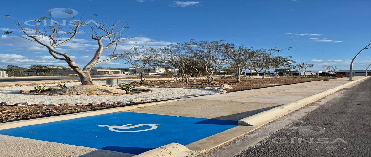 Foto de terreno habitacional en venta en  , cholul, mérida, yucatán, 29538597 No. 03