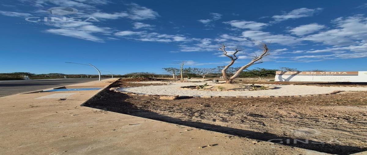 Foto de terreno habitacional en venta en  , cholul, mérida, yucatán, 29538597 No. 04