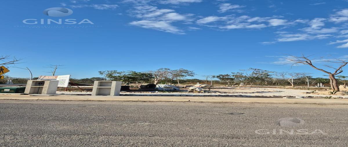 Foto de terreno habitacional en venta en  , cholul, mérida, yucatán, 29538597 No. 05