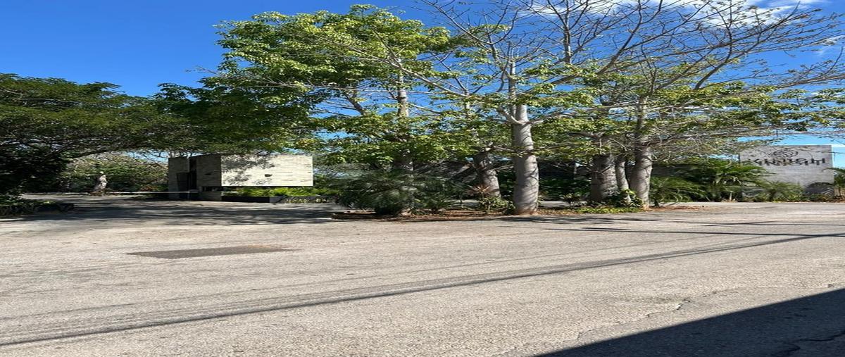 Foto de terreno habitacional en venta en  , cholul, mérida, yucatán, 0 No. 03