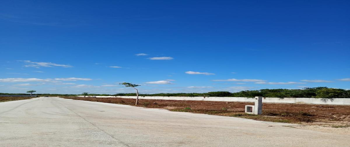 Foto de terreno habitacional en venta en  , cholul, mérida, yucatán, 0 No. 03
