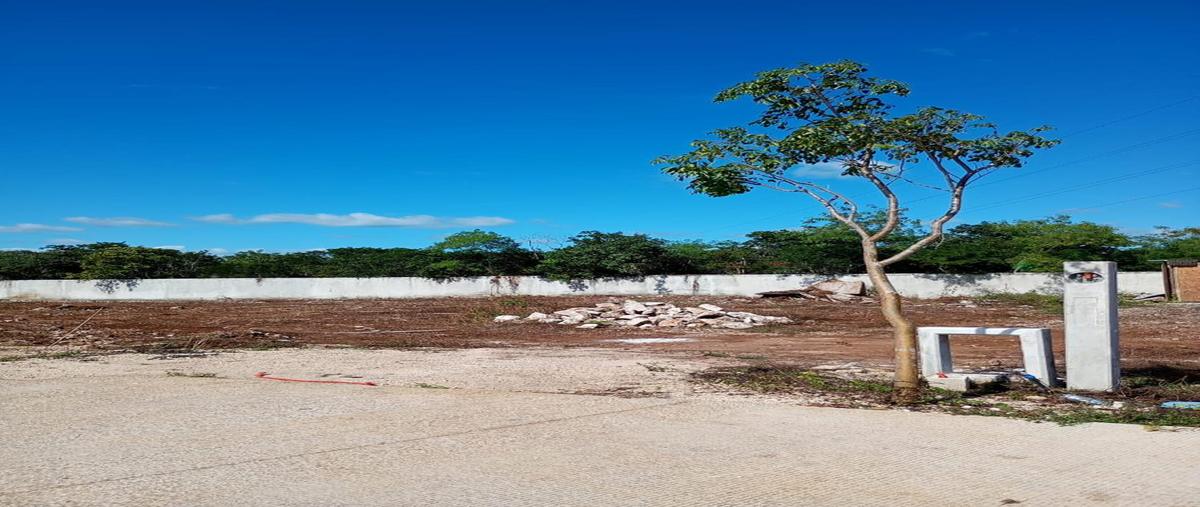 Foto de terreno habitacional en venta en  , cholul, mérida, yucatán, 0 No. 04