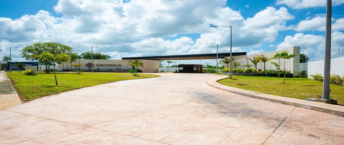 Foto de terreno habitacional en venta en  , cholul, mérida, yucatán, 29709890 No. 03