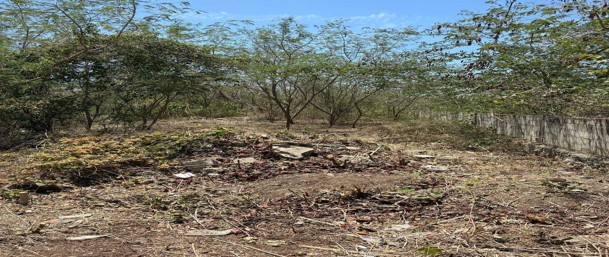 Foto de terreno habitacional en renta en  , cholul, mérida, yucatán, 0 No. 03