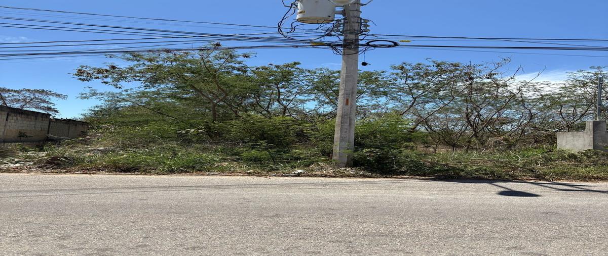 Foto de terreno habitacional en renta en  , cholul, mérida, yucatán, 0 No. 04