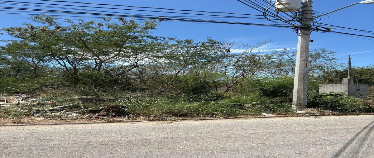 Foto de terreno habitacional en renta en  , cholul, mérida, yucatán, 0 No. 05