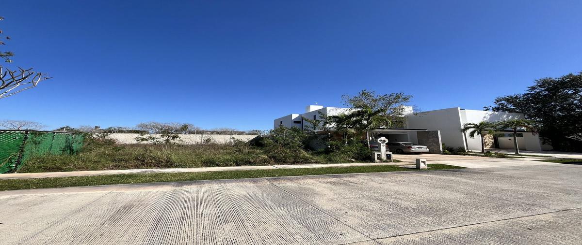 Foto de terreno habitacional en venta en  , cholul, mérida, yucatán, 0 No. 03