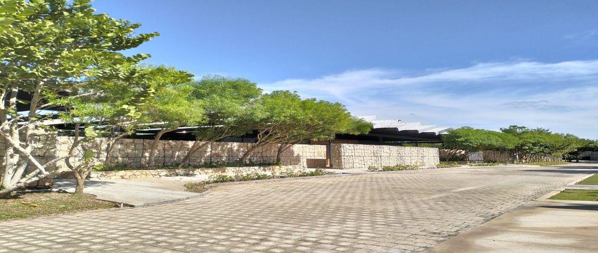 Foto de terreno habitacional en venta en  , cholul, mérida, yucatán, 0 No. 04