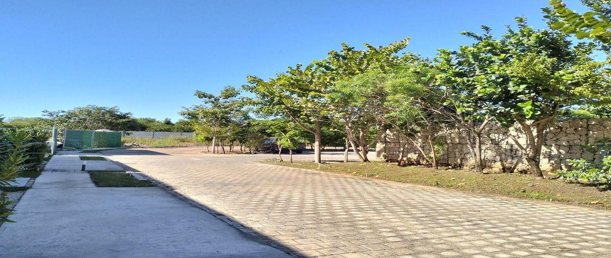 Foto de terreno habitacional en venta en  , cholul, mérida, yucatán, 0 No. 05
