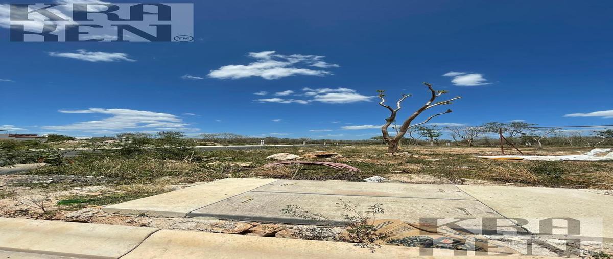 Foto de terreno habitacional en venta en  , cholul, mérida, yucatán, 30056312 No. 03