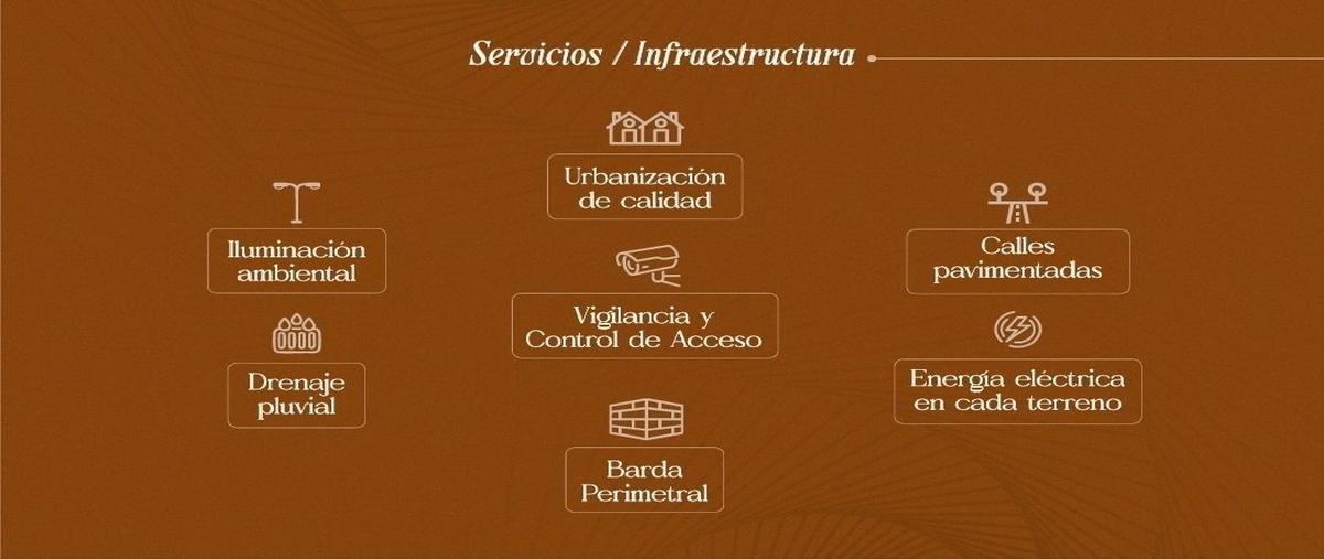 Foto de terreno habitacional en venta en  , cholul, mérida, yucatán, 0 No. 05