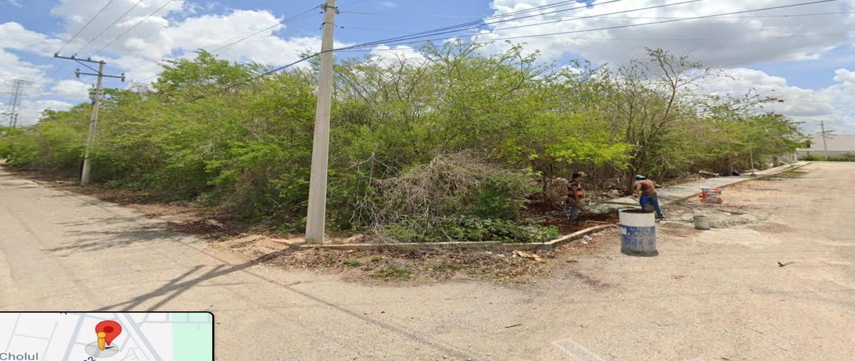Foto de terreno habitacional en venta en  , cholul, mérida, yucatán, 30126991 No. 05