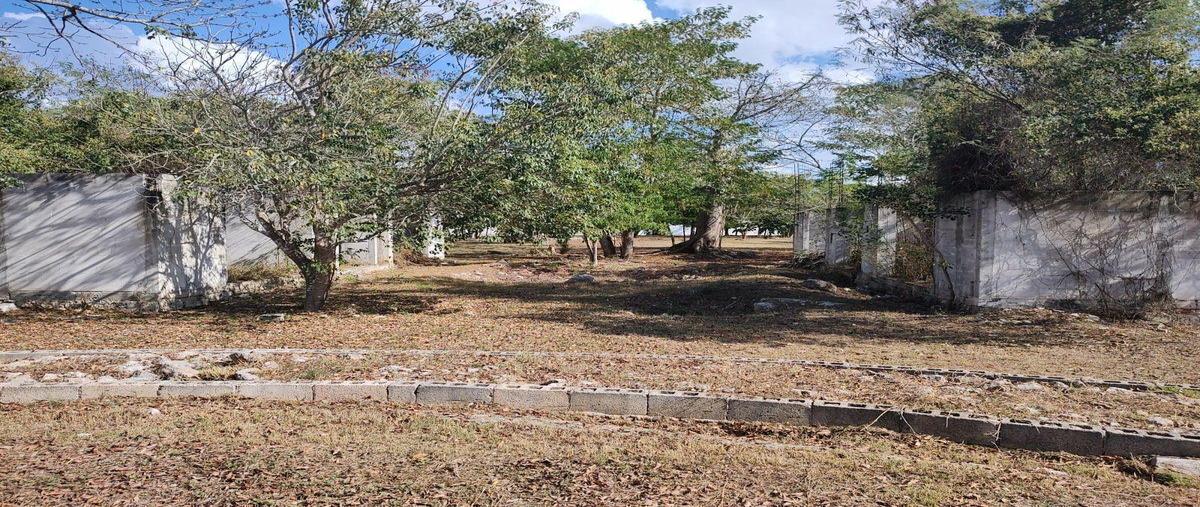Foto de terreno habitacional en venta en  , cholul, mérida, yucatán, 30147429 No. 05